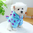 Load image into Gallery viewer, Dinosaur Outfit for Small Pets
